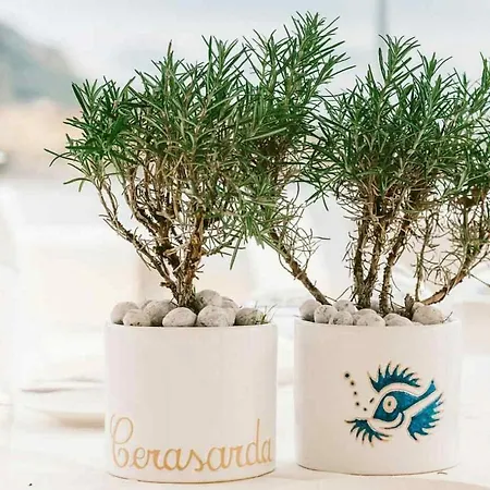 Appartement New!!! New Riva Luxury One - With Sunny Terrace & Big Garden *