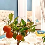 Apartment New!!! New Riva Luxury One - With Sunny Terrace & Big Garden Porec