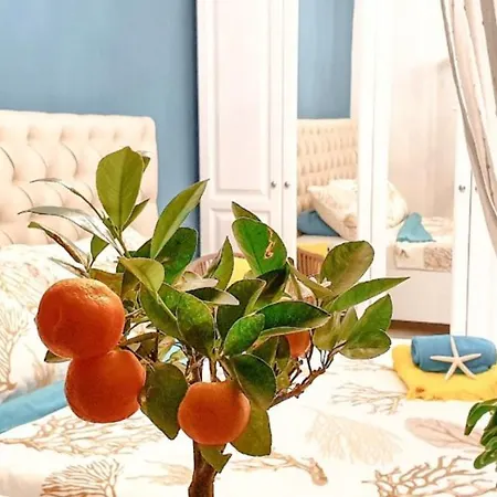 Apartament New!!! New Riva Luxury One - With Sunny Terrace & Big Garden Poreč