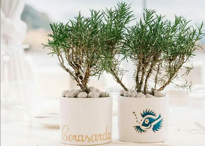 公寓 New!!! New Riva Luxury One - With Sunny Terrace & Big Garden *